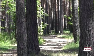 В Ярославской области запретили разводить костры и жечь мусор