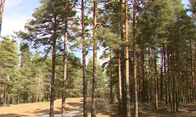 В Ярославской области отменили особый противопожарный режим