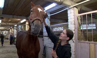«Просто о сложном»: педагог из Ярославской области совмещать преподавание в школе и конный спорт
