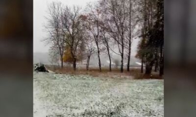 В Ярославской области выпал первый снег