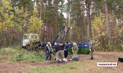 В Ярославской области подвели итоги ежегодной акции «Очистим лес от мусора»