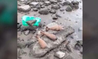 Опасные находки уничтожены: жители Ярославской области обнаружили снаряды ВОВ