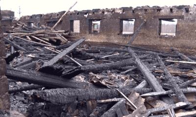 Корреспонденты «Первого Ярославского» разобрались в последствиях пожара на ферме