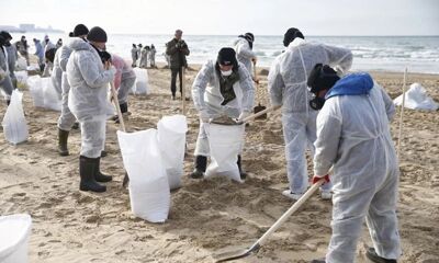 Ярославцы могут помочь очистить Черное море от нефтепродуктов