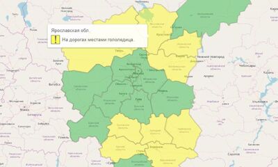 В Ярославской области действует «желтый» уровень погодной опасности
