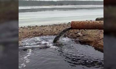 Александр Бастрыкин поставил на контроль ситуацию с коллектором в Мышкине