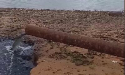 В Ярославской области Росприроднадзор проверит загрязняющее Волгу предприятие