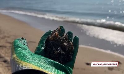 Ярославцы отправились на Черное море для отбора проб мазута на исследование