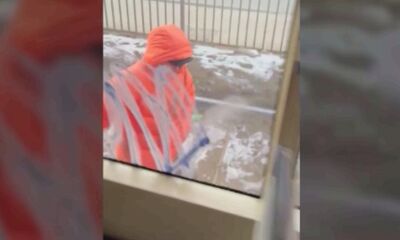 В Ярославле ОПГ подкараулила и разрисовала трамвай на глазах прохожих