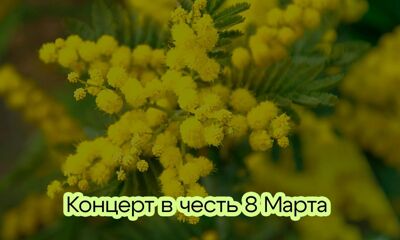 6 марта в 15:00 «Первый Ярославский» покажет прямую трансляцию концерта к 8 Марта в КЗЦ «Миллениум»