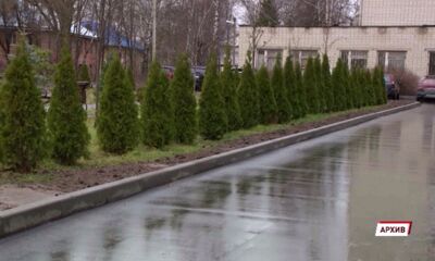 44 млн рублей вложат в обновление территорий пяти больниц Ярославской области