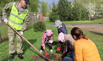 В Ярославской области в рамках акции «Сад памяти» посадят около 100 тысяч деревьев