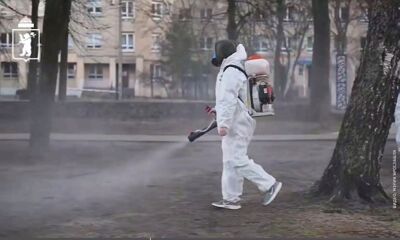 В парках и скверах Ярославля проводится обработка от клещей