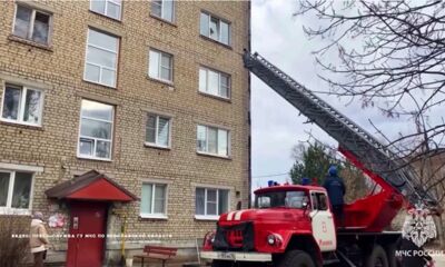 В Рыбинске пожарные спасли застрявшего в окне кота