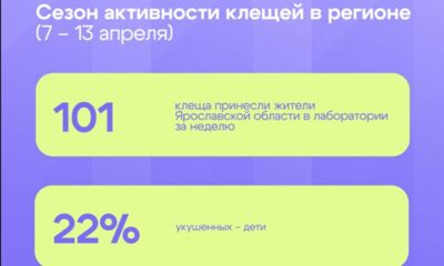 Более 100 клещей поймали на себе жители Ярославской области за неделю