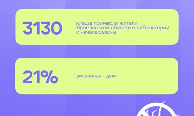 В Ярославской области клещи атаковали 457 человек