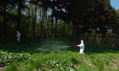 1700 объектов обработали от клещей в Ярославской области