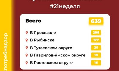 От клещей в Ярославской области пострадали 639 человек