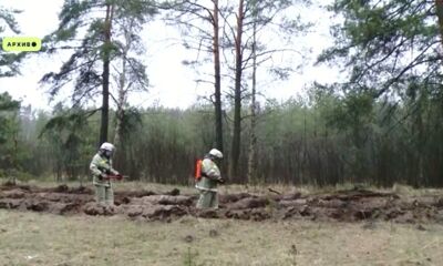 Нарушители пожарной безопасности в Ярославской области заплатят штраф до 1 млн рублей