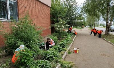 Стало известно, сколько заплатят ярославским подросткам за работу летом