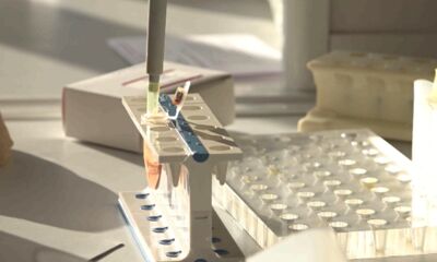 Загадочное дело о смерти 19-летней девушки и ее мужа раскрыли в Ярославле