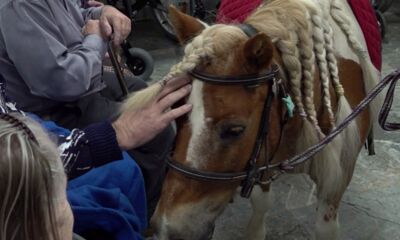 Подопечные Рыбинского дома-интерната опробовали на себе иппотерапию и иппоадвенцию