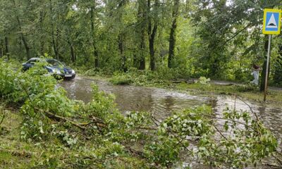 В правительстве Ярославской области сообщили о транспортных проблемах после сильной грозы