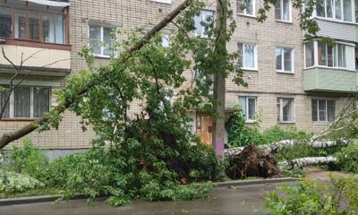 Ураган может вернуться: в правительстве Ярославской области сообщили о сохраняющейся опасности