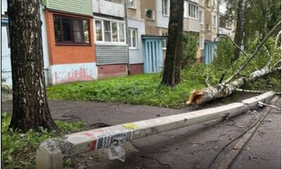 В Ярославле бетонный столб упал на ребенка