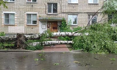 Стали известны последствия сильнейшего урагана в Ярославле