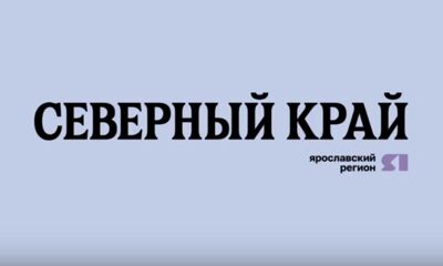 Газета «Северный край»: стало известно, почему подешевели куриные яйца