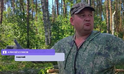 Ярославская область восстанавливается после сокрушительной силы стихии