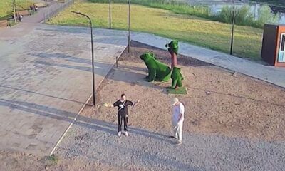 Осквернившим фигуры медведей в Большесельском округе вандалам грозит наказание