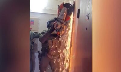 Ярославский суд заключил под стражу обвиняемых в дистанционном мошенничестве