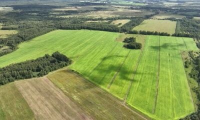 Миллиард рублей направят на поддержку аграриев Ярославской области