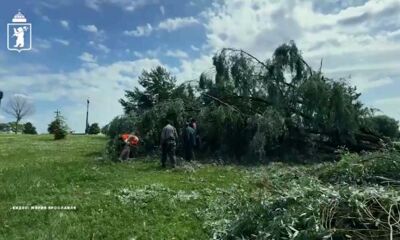 Улицы Ярославля освободили от поваленных во время урагана деревьев