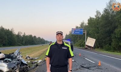 В Гаврилов-Ямском округе в ДТП с лосем и грузовиком погибли два человека