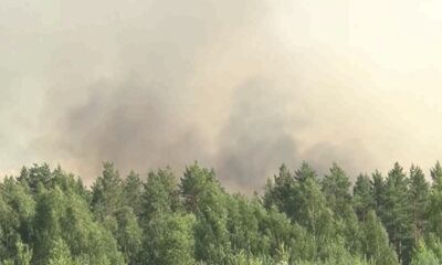 Дачи и поселки оказались в зоне риска: в Ярославской области сохраняется высокая пожароопасность