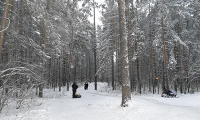 Парки приглашают ярославцев провести праздничные дни на свежем воздухе