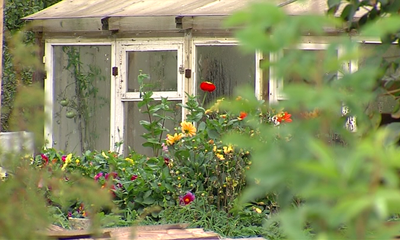 Посмотреть фильм или пересадить цветы? Ярославцы делятся видео, чем заняты на нерабочей неделе