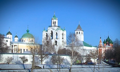 Ярославский библиотекарь стала региональным координатором движения «Волонтеры культуры»