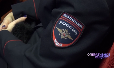 Житель Ярославской области вырубил 10 сосен в государственном заказнике