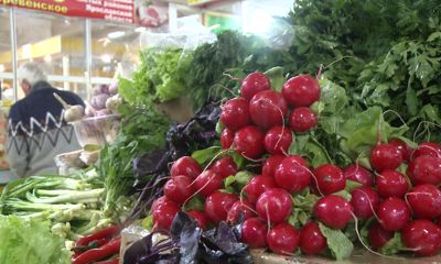 Эксперт рассказал, как коронавирус и цены на нефть влияют на цены в ярославских магазинах