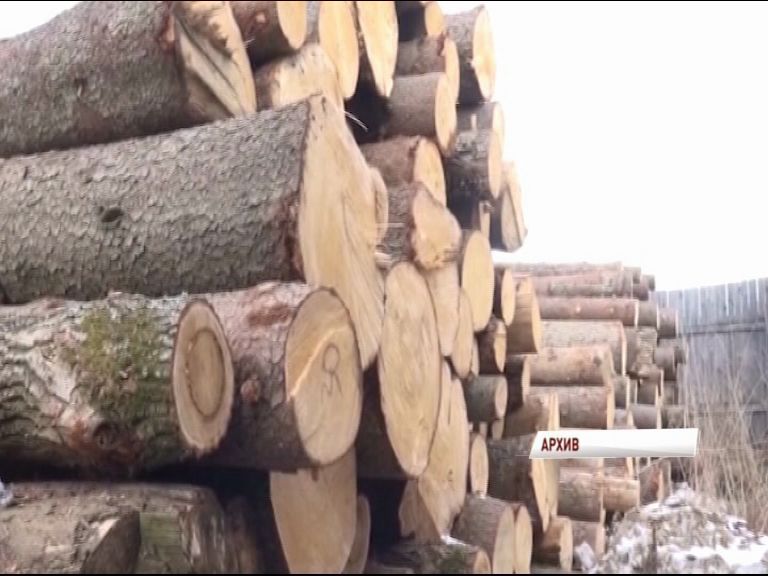 Рейд по предотвращению провоза нелегальной древесины на ж/д транспорте проходит в Первомайском районе