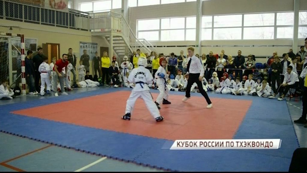 Ярославские спортсмены завоевали 42 медали на Кубке России по тхэквондо
