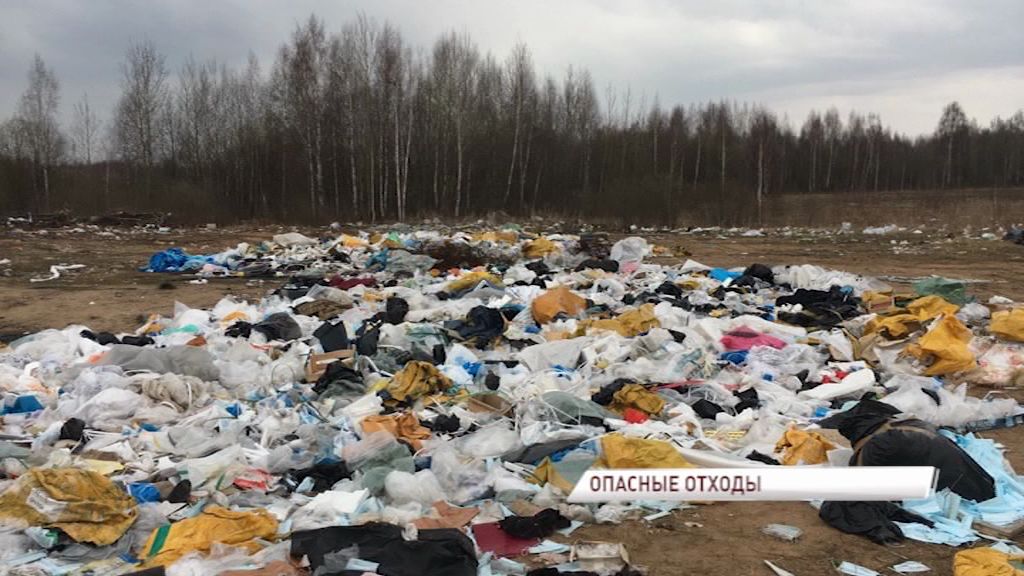 В Заволжском районе нашли несанкционированную свалку из медотходов и шкур животных
