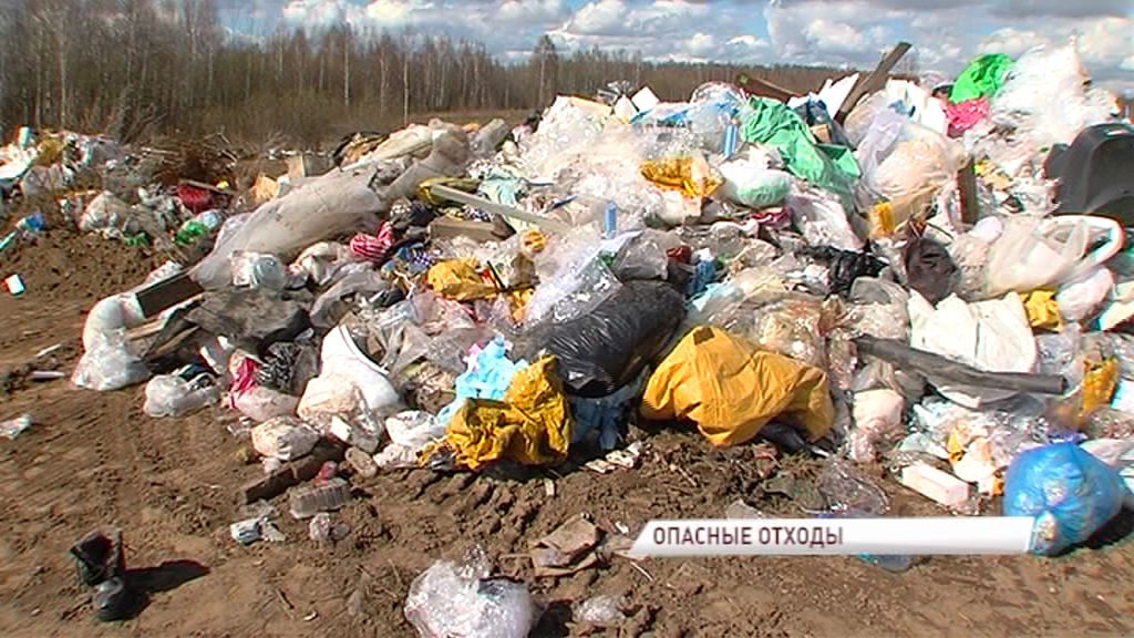 В Заволжском районе появилась очередная незаконная свалка: жители озабочены наличием в ней медицинских отходов