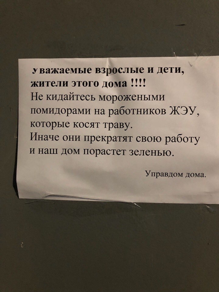 Управдом попросил жителей дома во Фрунзенском районе не кидаться морожеными помидорами в работников ЖЭУ