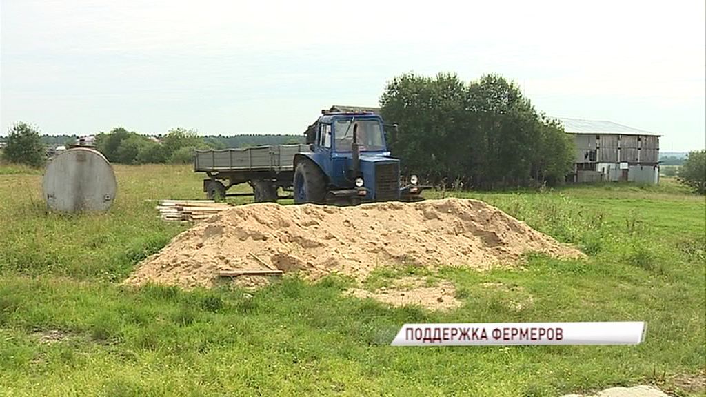 Депутат облдумы: «Необходимо увеличивать субсидии для фермеров»