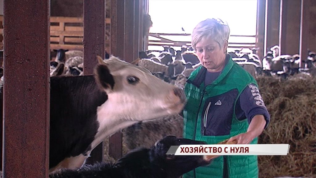 Вместо руин – преуспевающая ферма: как это удалось семье из Даниловского района